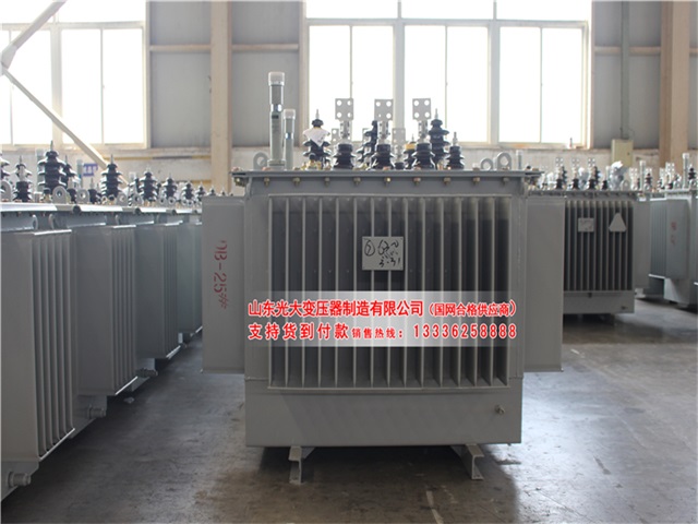 青海S22-4000KVA油浸式变压器