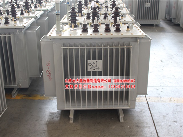 青海S11-6300KVA油浸式变压器
